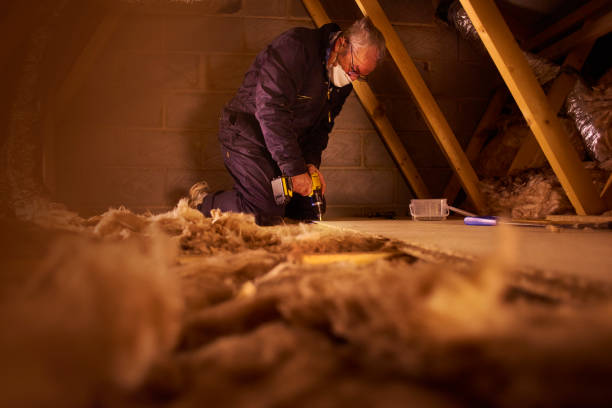 Best Basement Insulation  in North Wantagh, NY